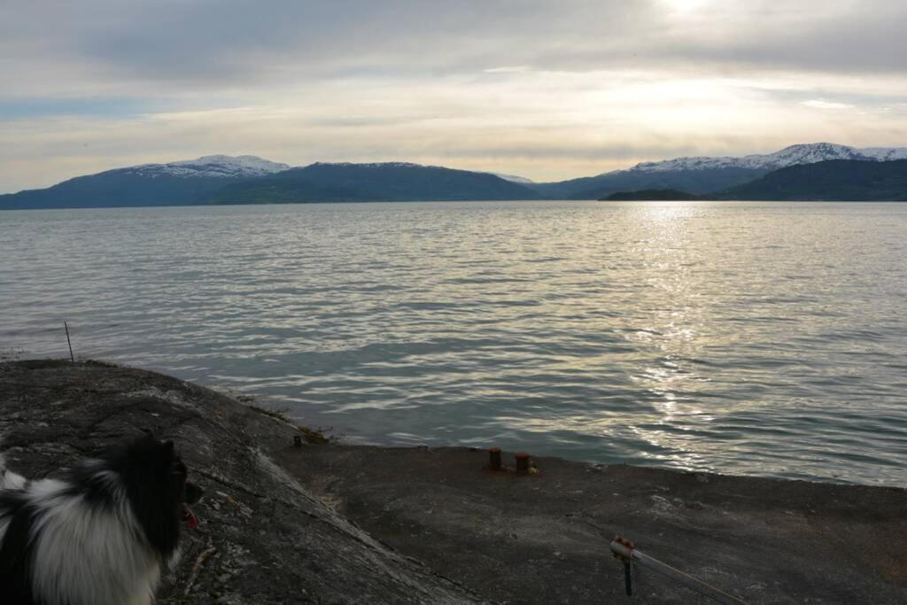 Treehut, Nature, Birds, Silence And Fjord Samlanes Extérieur photo