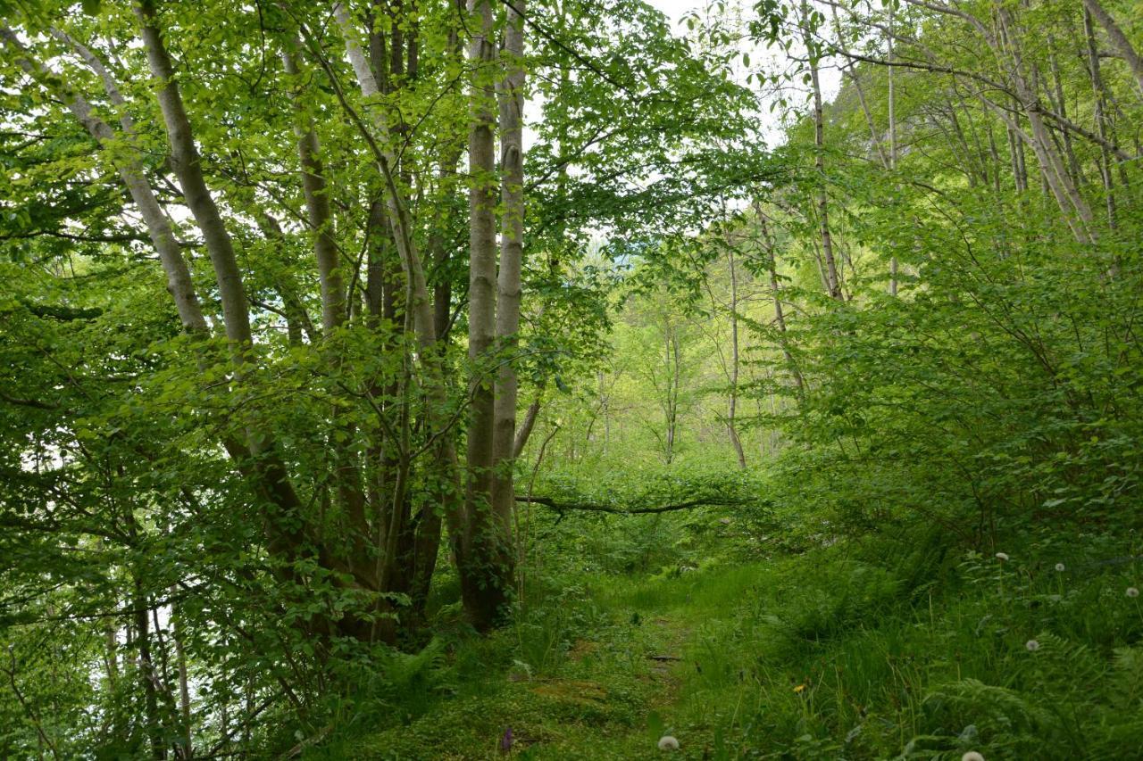 Treehut, Nature, Birds, Silence And Fjord Samlanes Extérieur photo