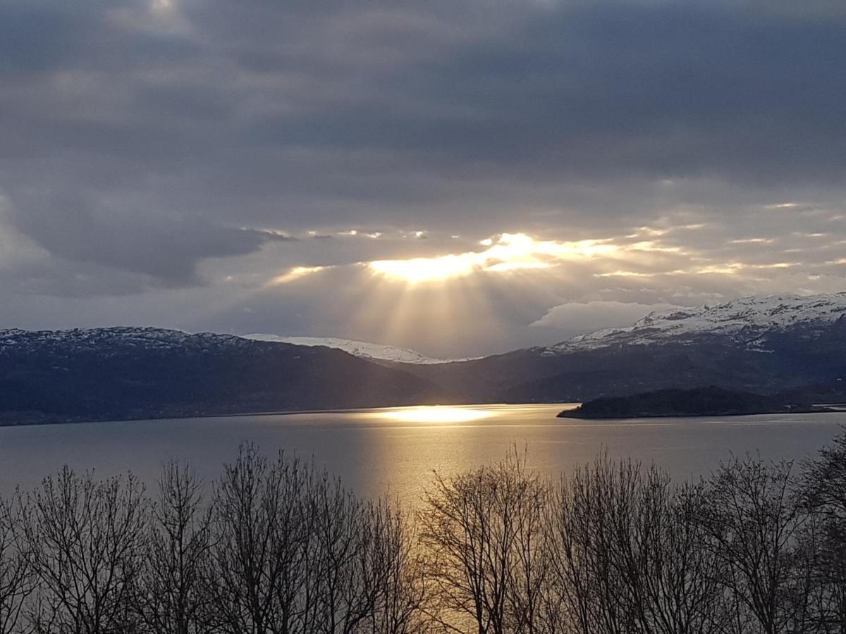 Treehut, Nature, Birds, Silence And Fjord Samlanes Extérieur photo