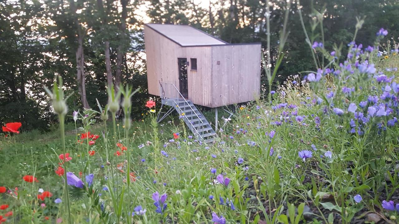 Treehut, Nature, Birds, Silence And Fjord Samlanes Extérieur photo