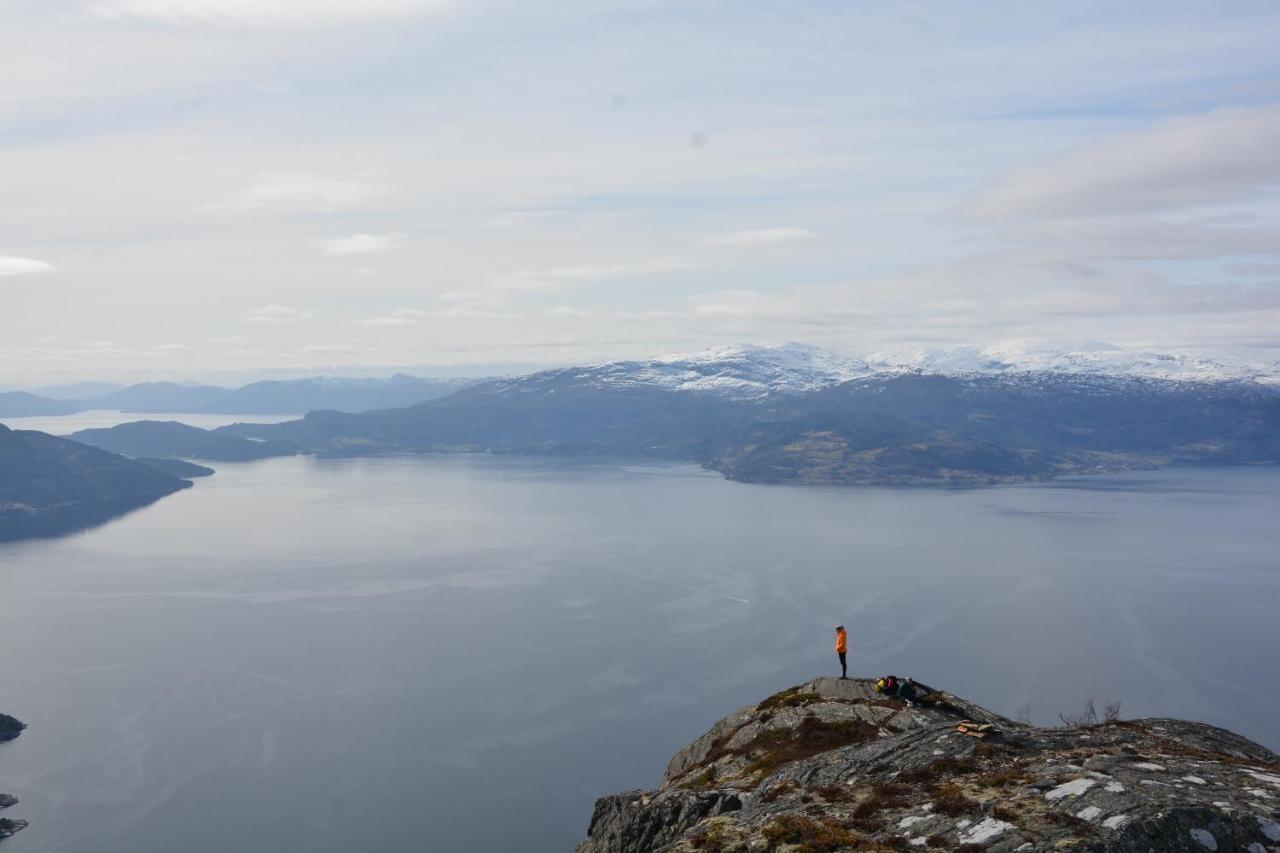Treehut, Nature, Birds, Silence And Fjord Samlanes Extérieur photo
