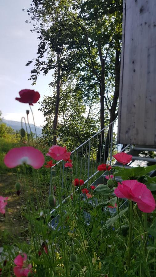 Treehut, Nature, Birds, Silence And Fjord Samlanes Extérieur photo