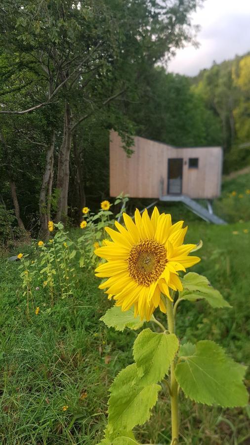 Treehut, Nature, Birds, Silence And Fjord Samlanes Extérieur photo
